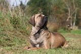 FILA BRASILEIRO 006
